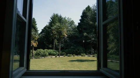 Green garden through the window Stock Footage 86355128