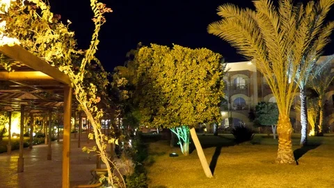 Green Garden in the Yard Stock Footage 87994756