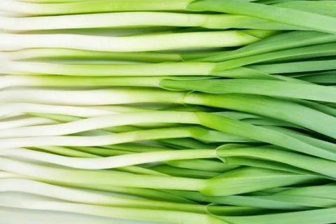 Green garlic Фото