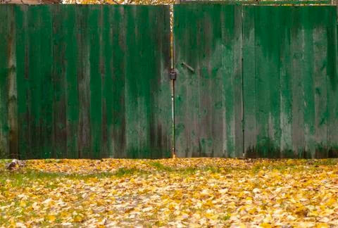 Green gate. Stock Photos