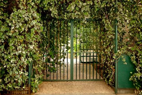 Green gateway Stock Photos