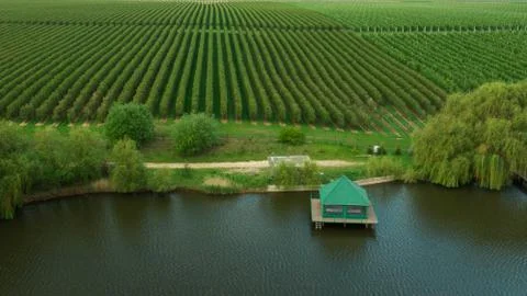 Green Gazebo on Lake near the orchards. Aerial Stock Photos