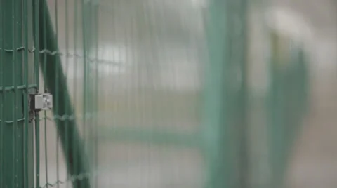 Green Gence Rack Focus Stock Footage 31818806