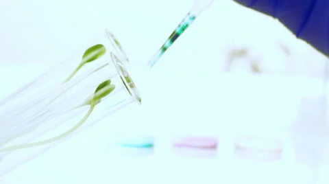 Green genetic Experiment Stock Footage 23052780
