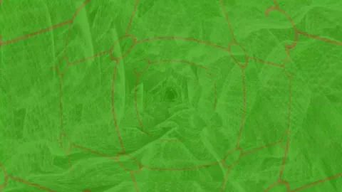 Green geometric network pattern abstract background loop an visual featuring Video stock 334656405