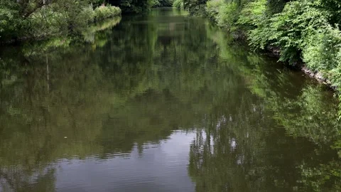 The green german sieg river video Stock Footage 255081691