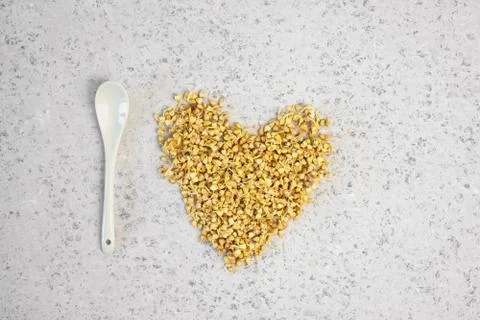 Green germinated buckwheat on grey backround. Raw buckwheat. Useful food from Stock Photos