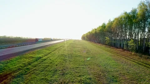 Green glade, a row of high birch near the suburban highway, camera is moving Stock Footage 154012294