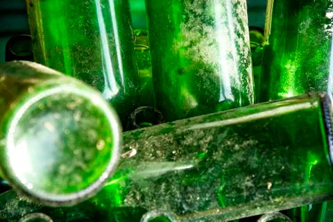 Green glasses Foto stock