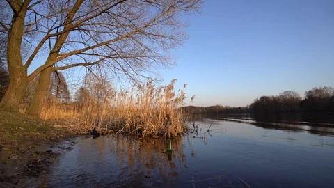 Green glass/plastic bottle floating on the surface of the pond  Stock Footage 106871680