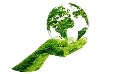 Green globe inside concept  protecting the environment and nature Stock Illustration