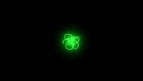 Green glowing abstract floral shape on black background Video stock 318213577