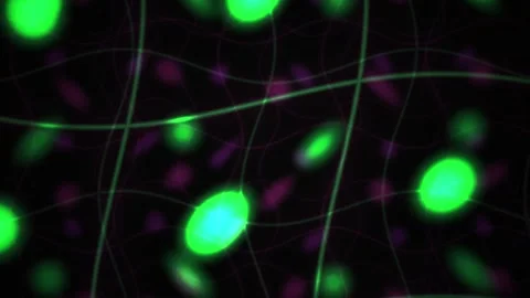 Green Glowing Abstract Network Particles Motion Background Stock Footage 343713995