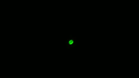 Green glowing ball on a black background Stock Footage 104568830