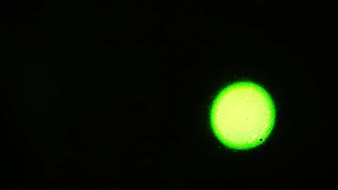Green glowing ball on a black background. Stock Footage 104568942