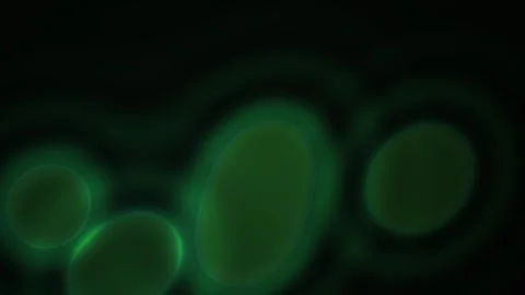 Green glowing cells under microscope. Stock Footage 334885102