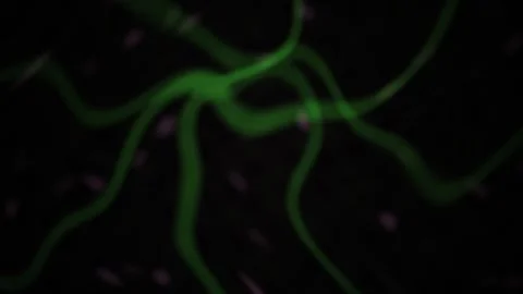 Green Glowing Lines Create Abstract Motion Background for Science and Tech .. Stock Footage 343715839