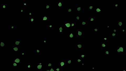 Green glowing particles floating on black background Stock Footage 341806533