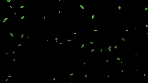 Green Glowing Particles Floating in Dark Space Stock Footage 341806545