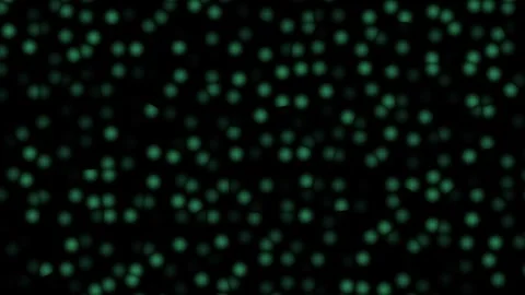 Green glowing particles moving in dark background Stock Footage 338391220