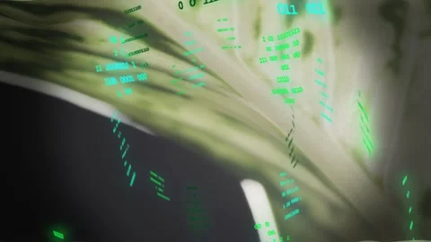 Green glyphs emerging lower-left and drifting over pale leaf while view opening, Stock Footage 333670575