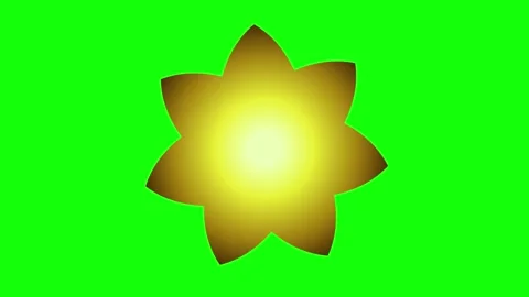 Green Gold Flower Screen Horizontal 16:9 Green Screen Video stock 340461282