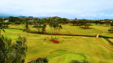 Green golf course covered with grass in a valley with palm trees in Honolulu 스톡 동영상 311572462