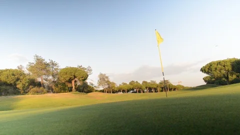 Green on golf course with flag Stock Footage 90496659