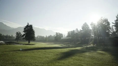 Green golf course on sunny day Stock Footage 71533341