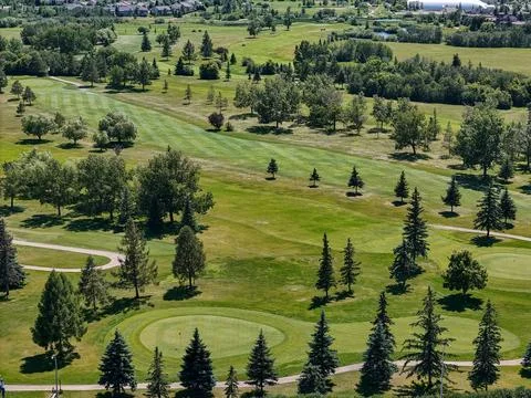 Green golf course with trees and winding paths under sunny skies Foto stock