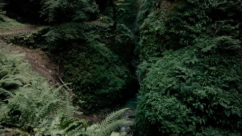 Green gorge Stockbeeldmateriaal 104954877