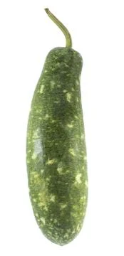 Green gourd Stock Photos