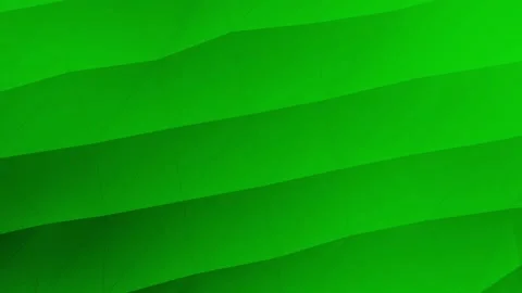 Green gradient abstract background. Stock Footage 163089590