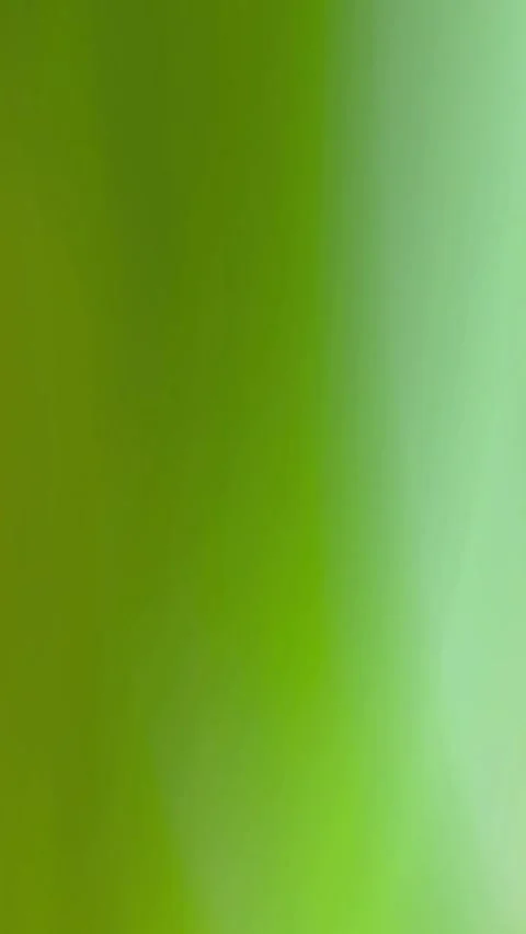 Green gradient background. Colorful fluid motion video Stock-Footage 339778732