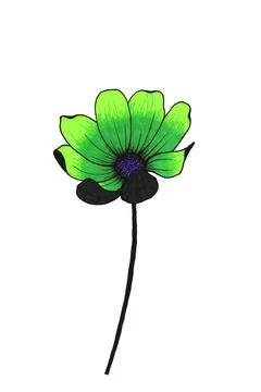 Green gradient cosmea flower on a long black stem with open petals illustration Stock Illustration