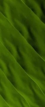 Green Gradient Organic Abstract Texture vertical background Stock Photos