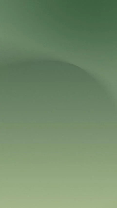 Green gradient with soft curves and grain texture. Seamless loop background. 4K. 動画素材 310143559