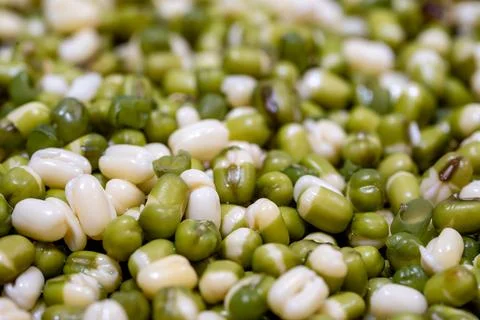 Green gram macro Stock Photos