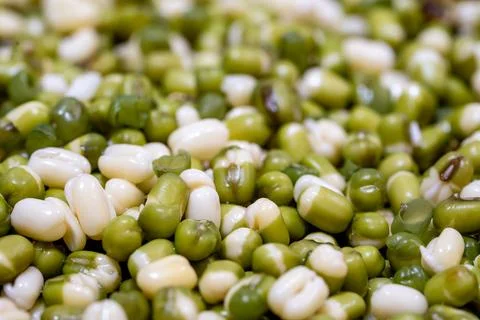 Green gram macro Stock Photos