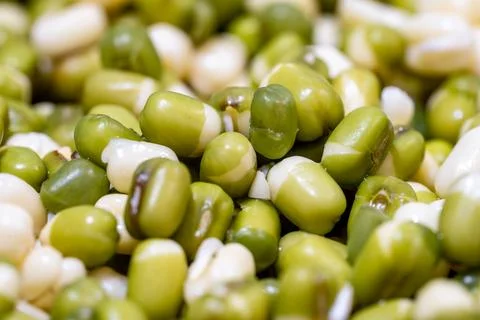 Green gram macro Stock Photos
