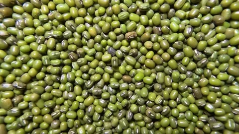 Green Gram - Rotating Shot Video stock 283987882