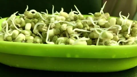 GREEN GRAM VIDEO Stock Footage 138456326