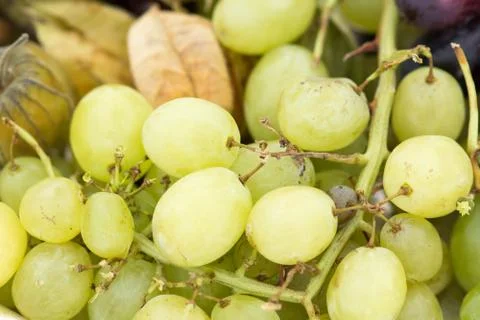 Green grape background Foto stock