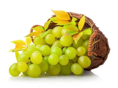 Green grape in basket Stock Photos