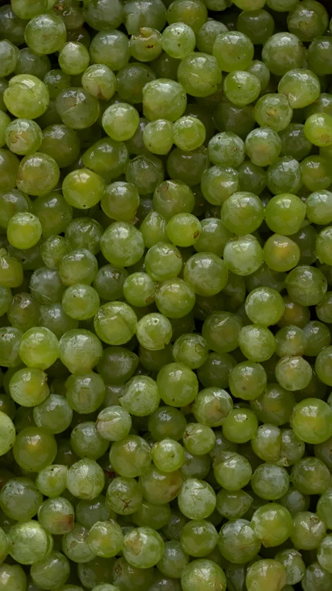 Green grape berries background texture. Vertical video. Stock Footage 284087072