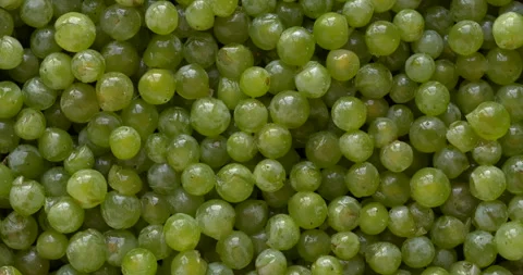 Green grape berries background texture. Stock Footage 284087362