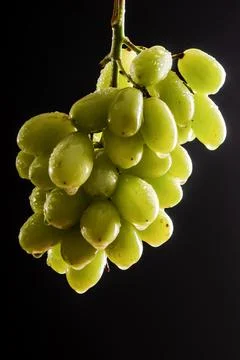 Green grape bunch on black background, fresh fruit, studio lighting Foto stock