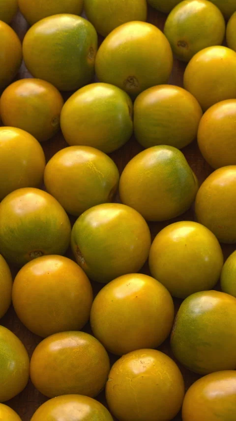 Green grape cherry tomatoes background texture rotating top view, vertical video 库存影片 343891404