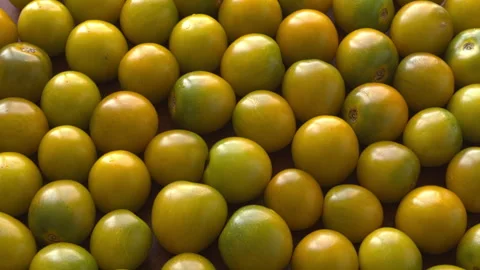 Green grape cherry tomatoes full frame background texture. 库存影片 345006270