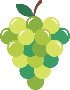 Green grape cluster, minimal simple vector illustration Stock Illustration